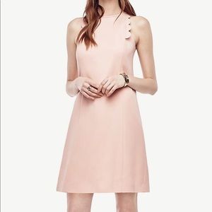 Ann Taylor Shift Dress - Sz 2